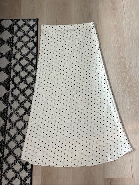 Zara maxi silk skirt